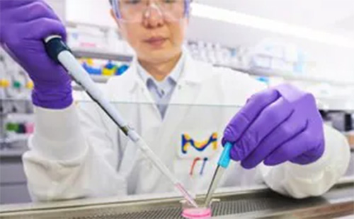 Partenaire Merck dans la un laboratoire en train de réaliser des analyses avec un équipement adéquat